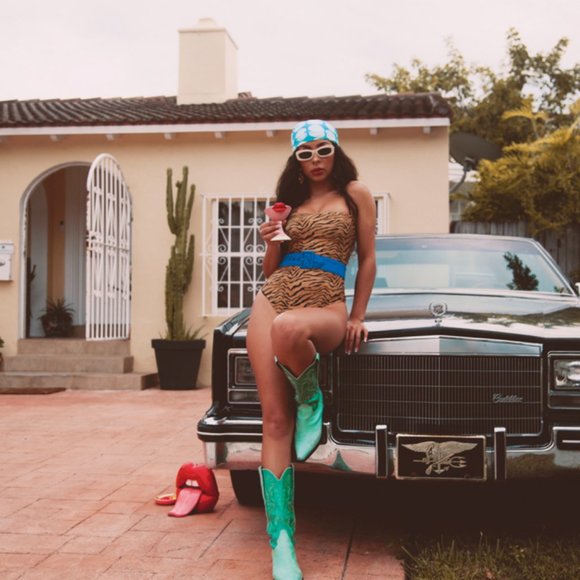 VIX paula hermanny suri tiger print swimsuit animal print bathing suit size m - Picture 2 of 16